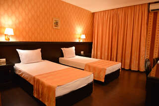 Отели типа «постель и завтрак» Chateau-Hotel Trendafiloff Chirpan Двухместный номер с 1 кроватью или 2 отдельными кроватями-4